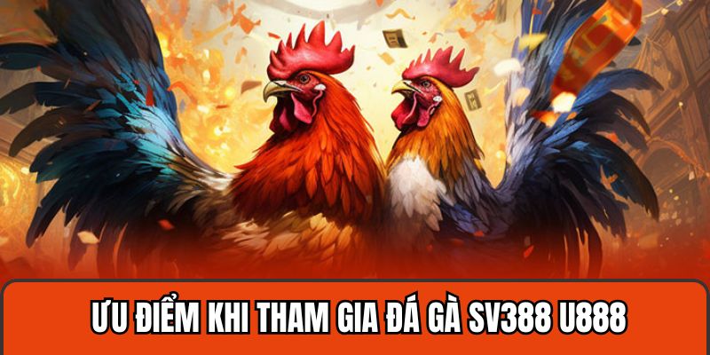 Ưu điểm khi tham gia chơi đá gà SV388