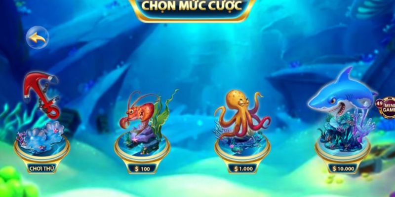 Cược càng lớn cơ hội trúng Jackpot càng lớn