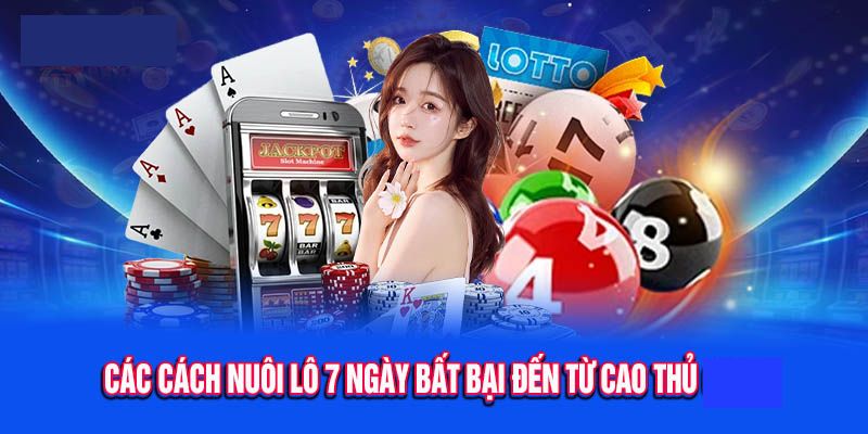 Những phương pháp nuôi lô khung 7 ngày hiệu quả